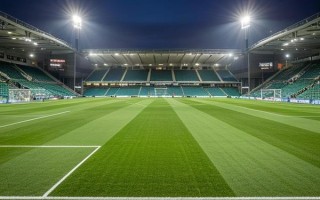 潘森职业联赛不见用_潘森 w